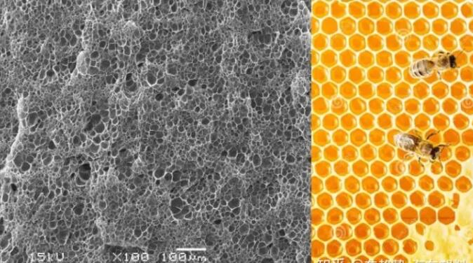 epp發(fā)泡聚丙烯的顯微結(jié)構(gòu)，可以看到這是種連續(xù)閉孔結(jié)構(gòu)，類似于蜂窩